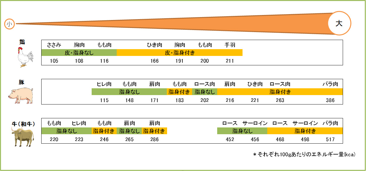 お肉の種類別カロリー